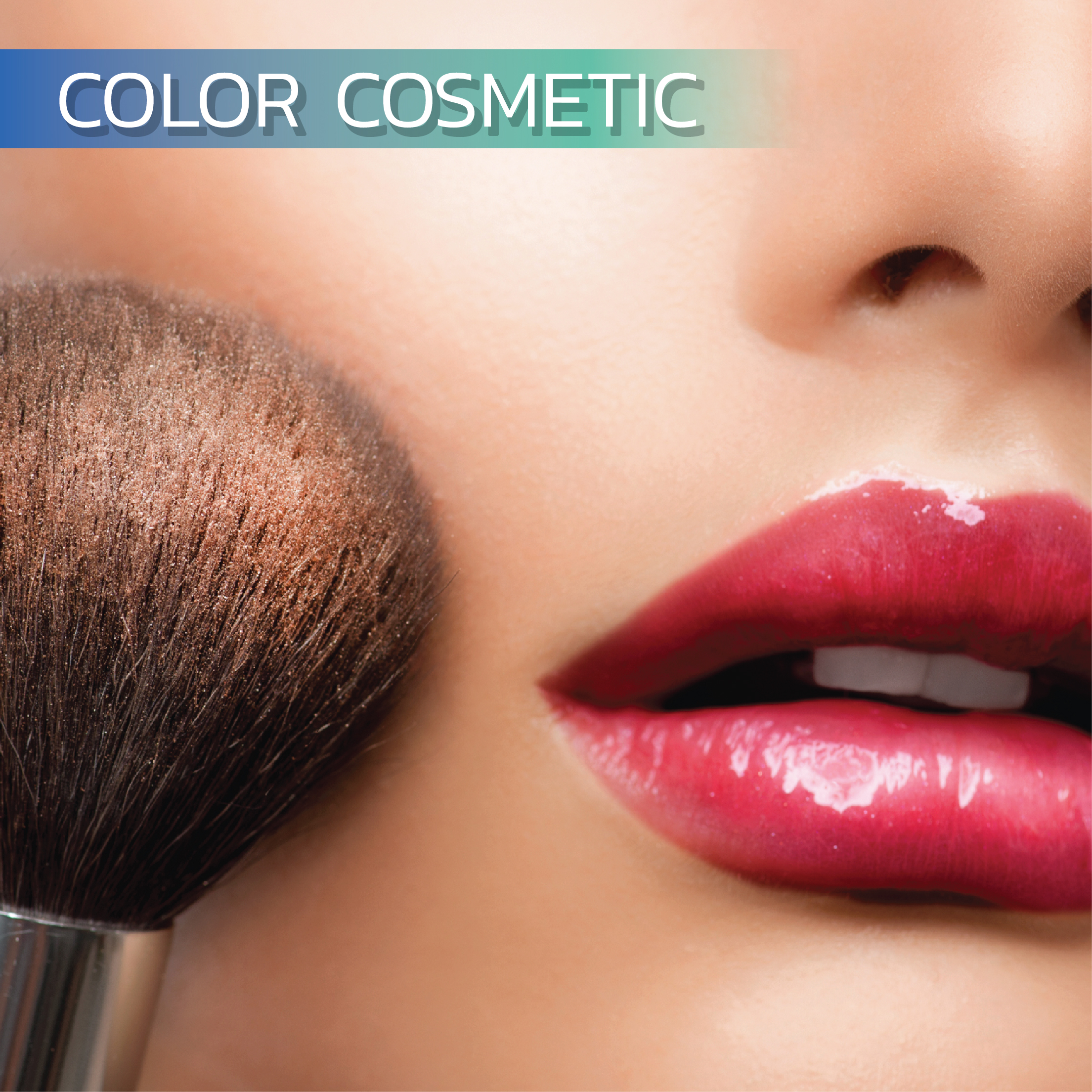 Color cosmetics outlet